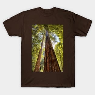 The Redwoods T-Shirt